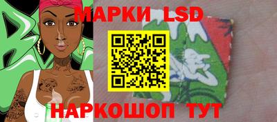 гашик Моздок