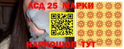 гашик Моздок