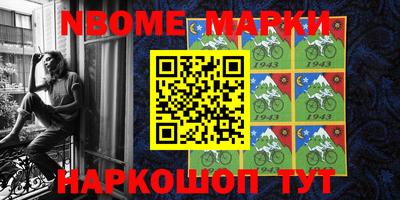 гашик Моздок