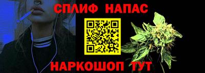 сатива Можайск