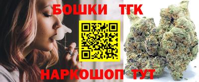 гашик Моздок