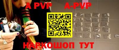 гашик Моздок