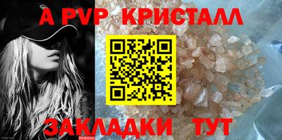 гашик Моздок