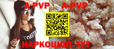 гашик Моздок