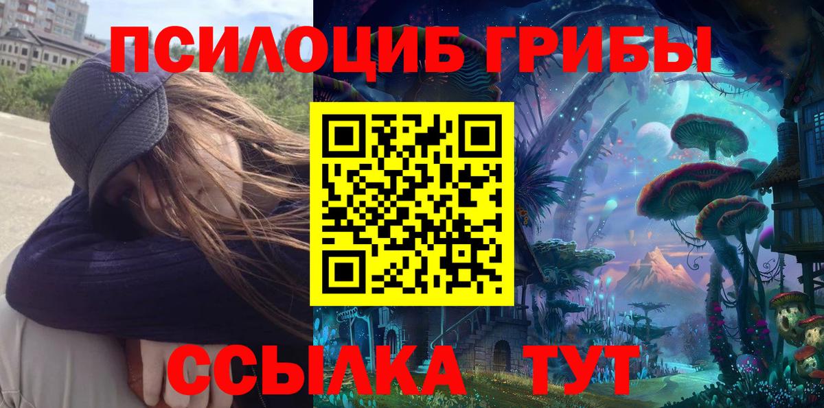 Псилоцибиновые грибы Psilocybe  Псилоцибиновые грибы мицелий  Топки  Вход с VPN 